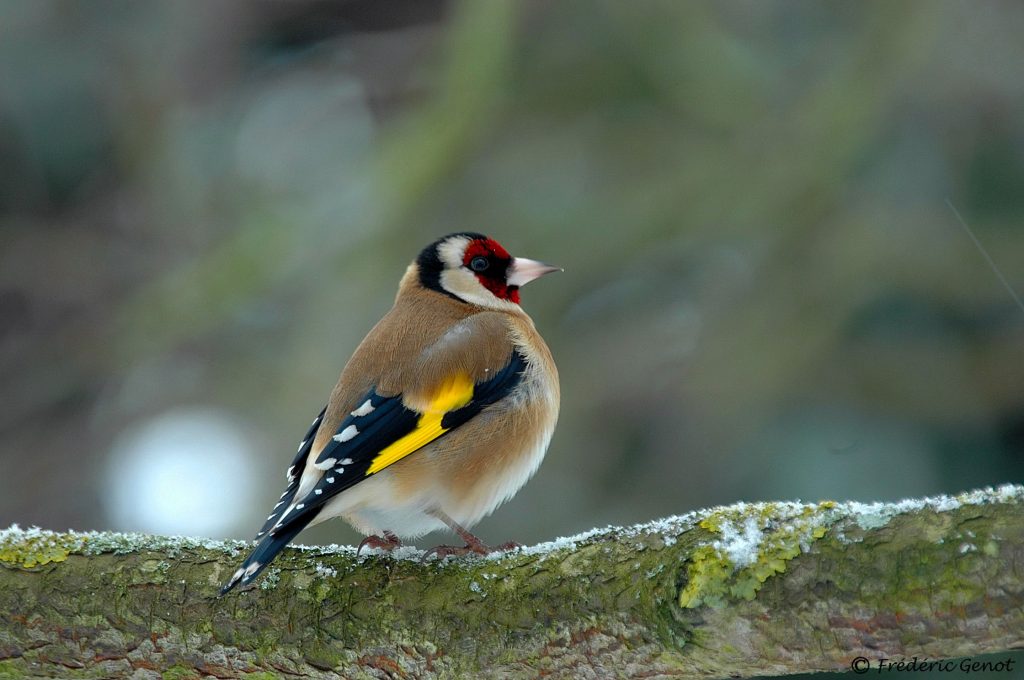 La nature se prépare à l’hiver