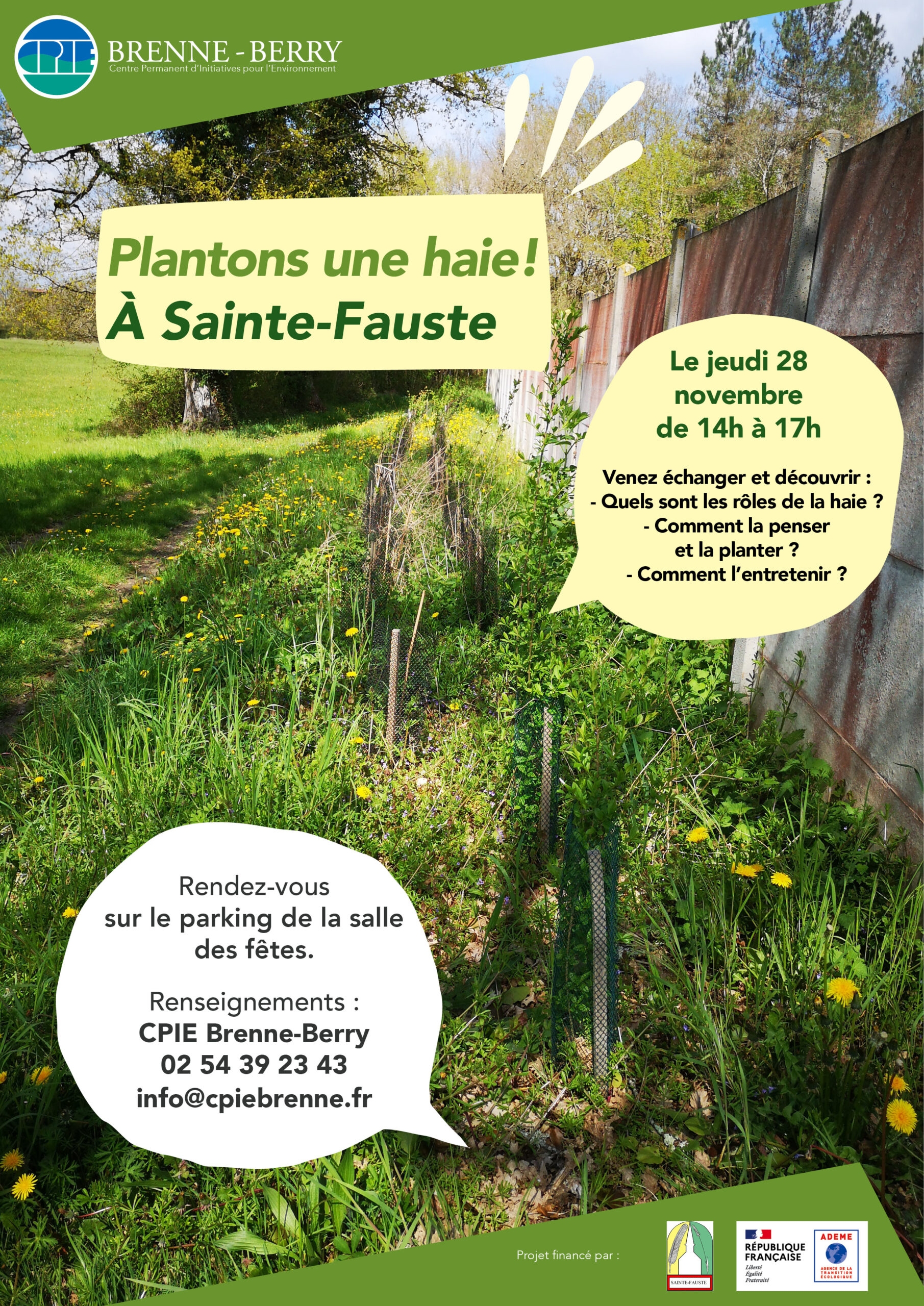 Plantation de haie