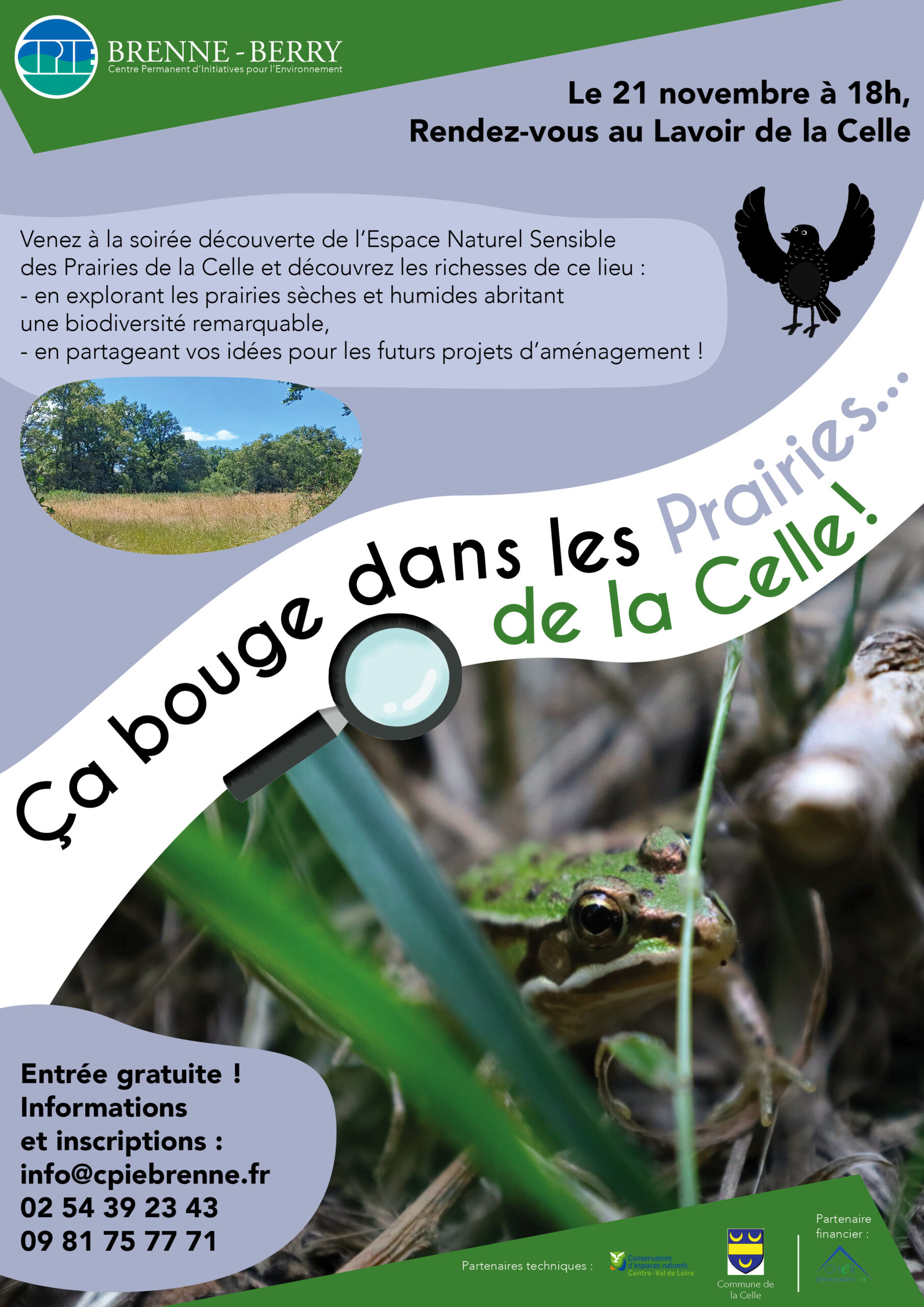 Ça bouge dans les prairies de la Celle